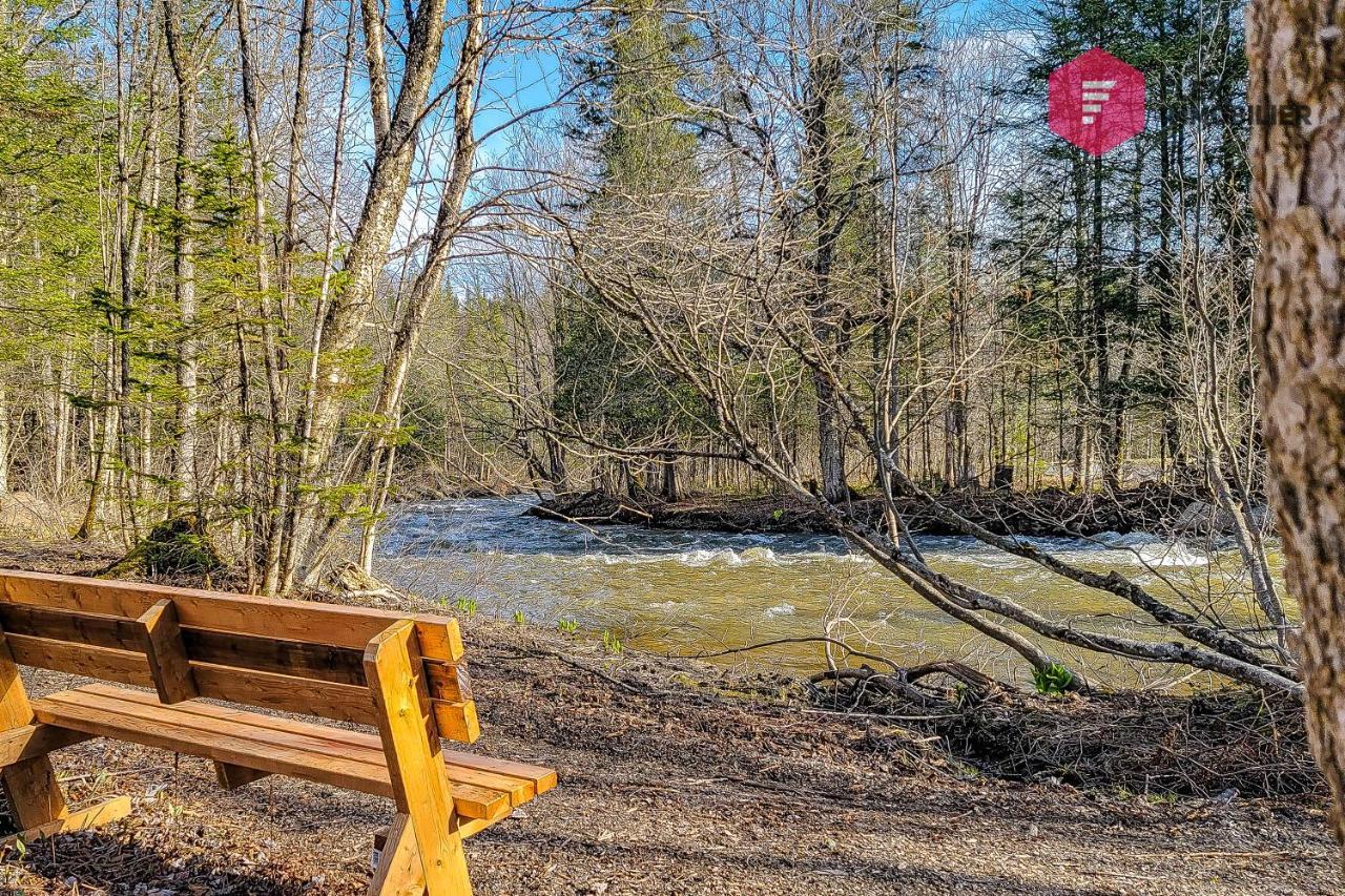 The Halo / Spa Sauna Pool Billiards Hiking / 25 Min From Quebec Pont-Rouge Exterior foto